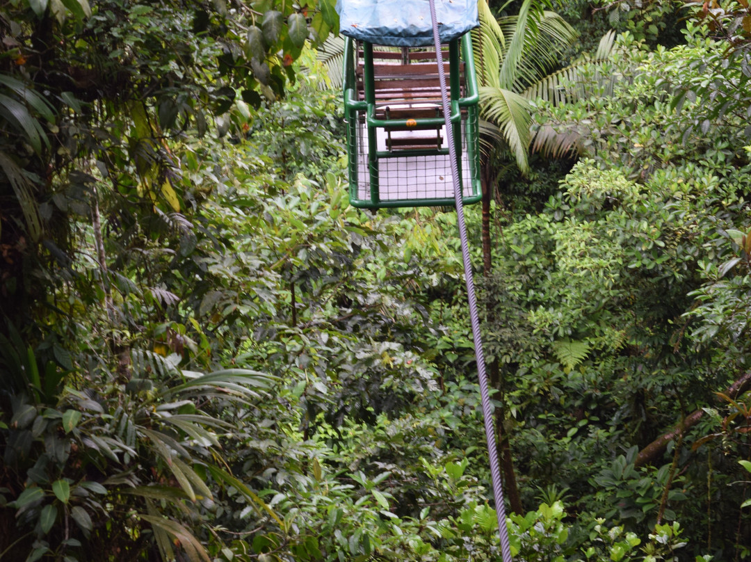 Rainforest Adventures-瓜匹来斯必去景点