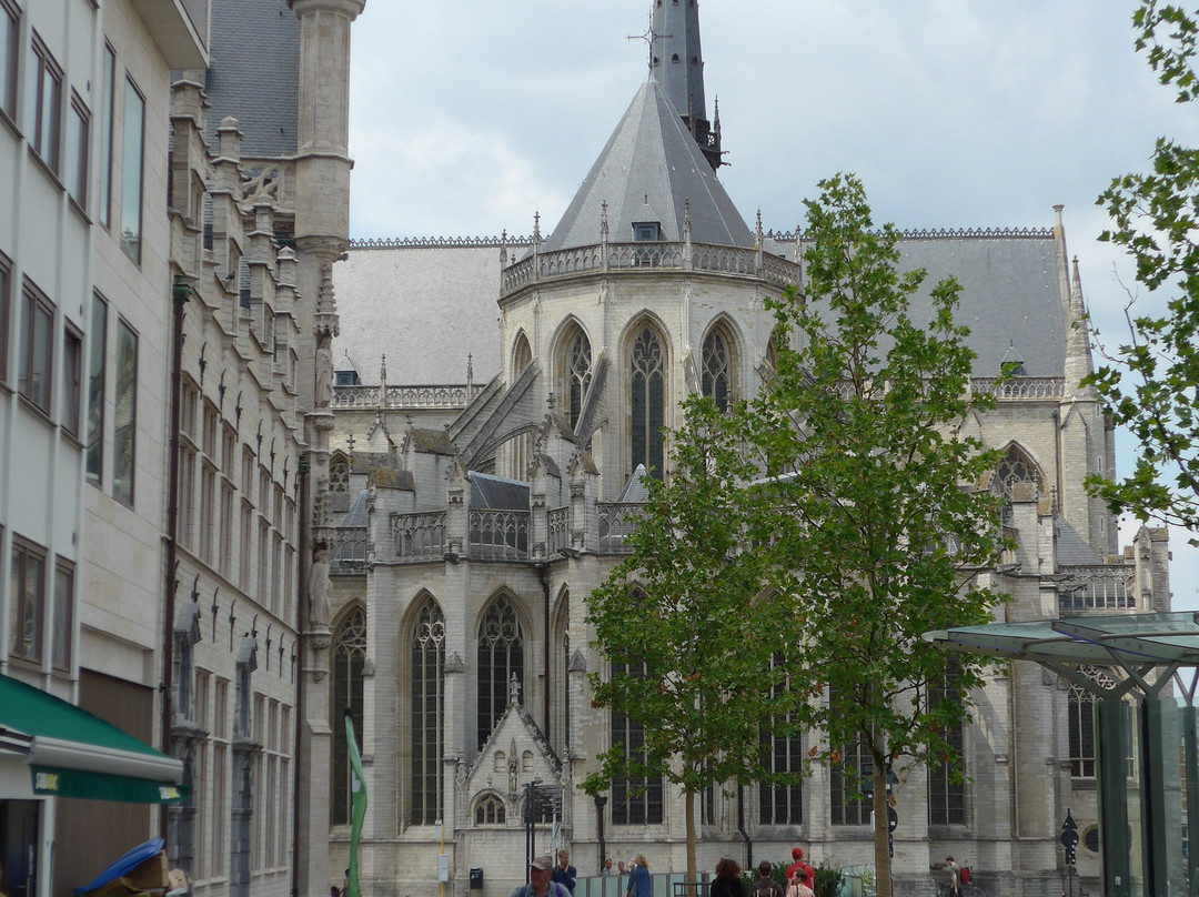 Saint Peter's Church (Sint-Pieterskerk)-鲁汶必去景点