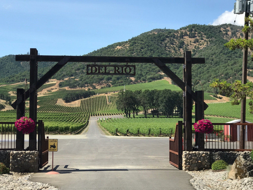 Del Rio Vineyards & Winery景点图片