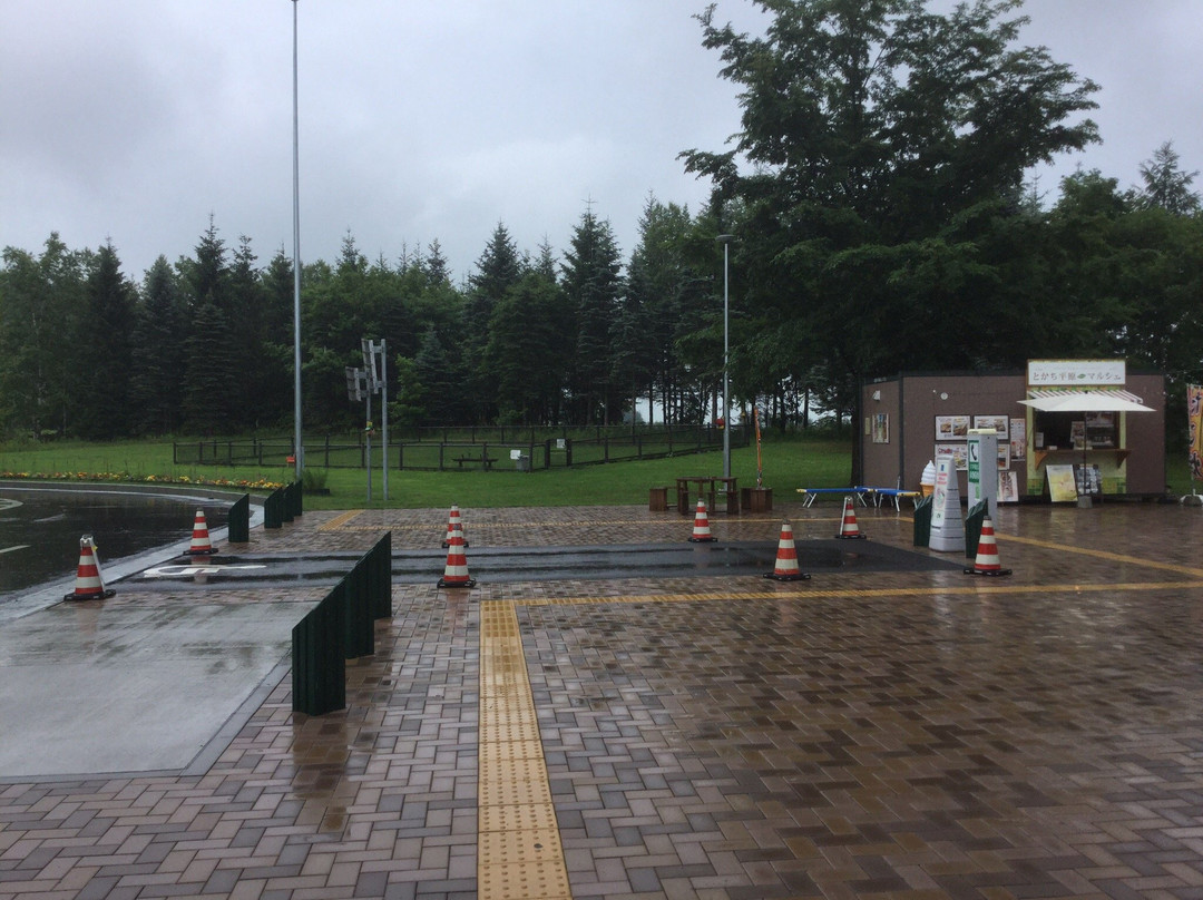 Tokachiheigen Service Area Inbound-芽室町必去景点