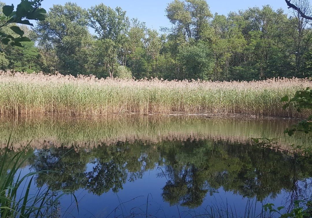 Oasi della Bruschera-Angera必去景点