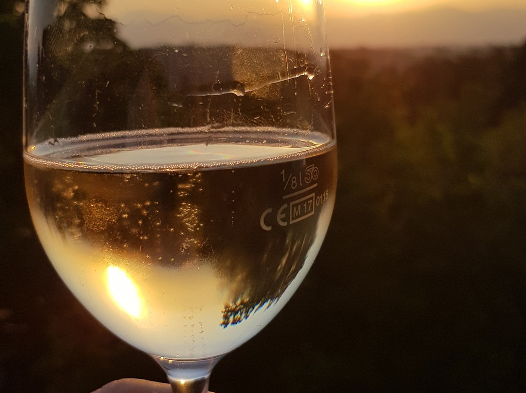 Schneiderannerl主图