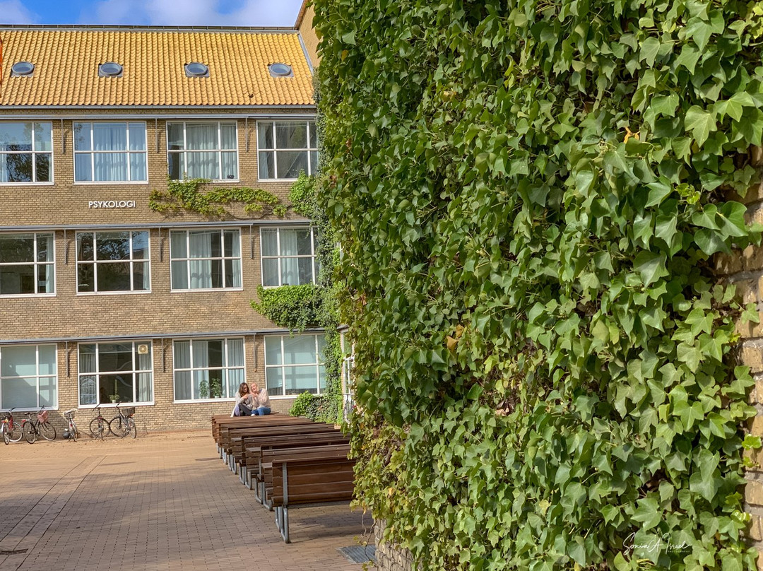 Aarhus Universitet-欧胡斯必去景点