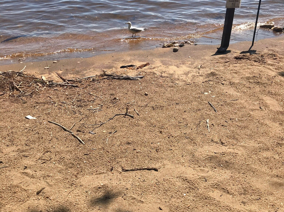 Sebago Lake State Park景点图片