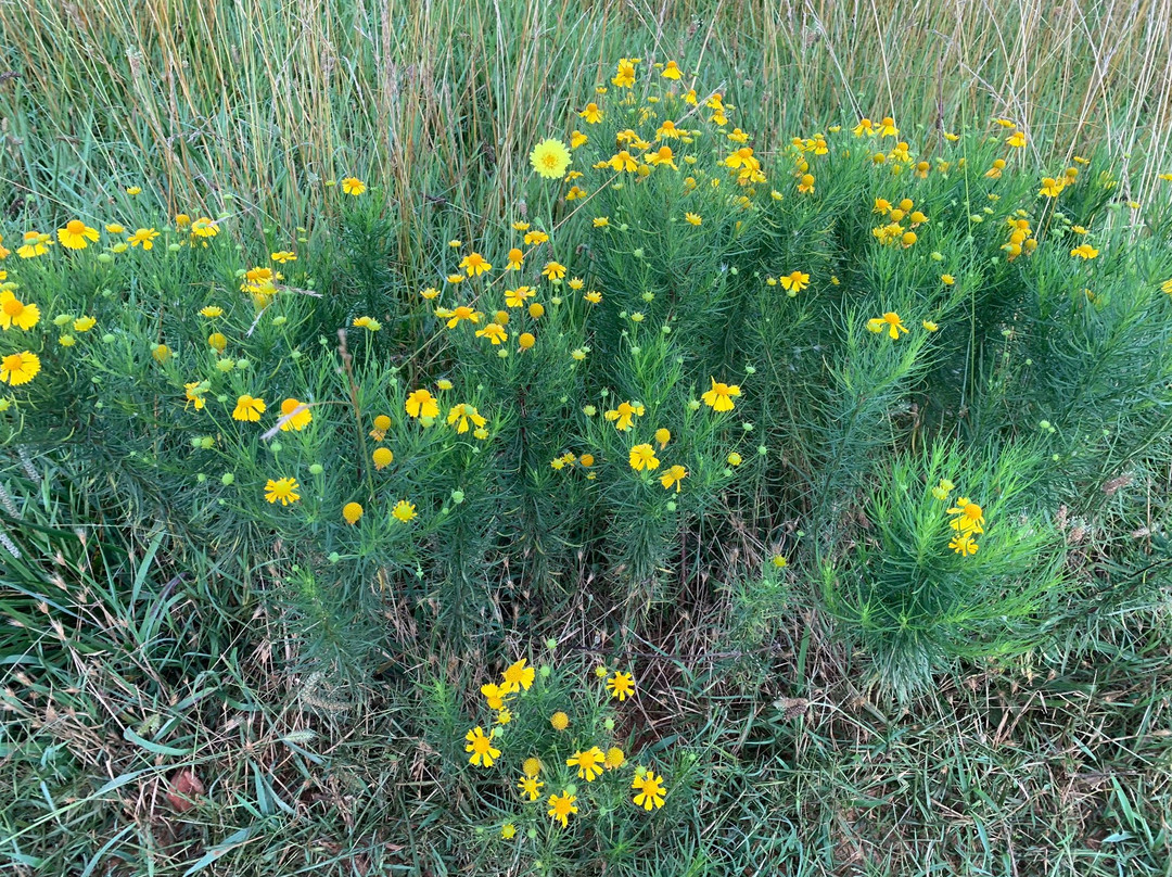 Kennesaw Mountain National Battlefield Park景点图片