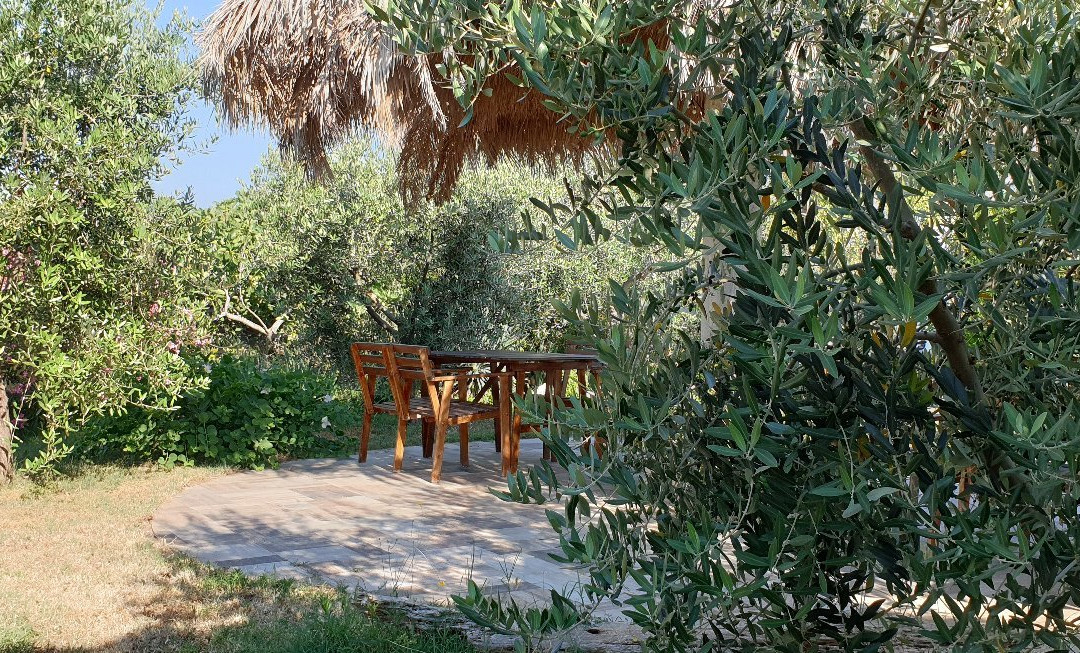 Le Cicale B&B Vieste主图