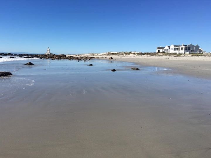 Mussel Cracker主图