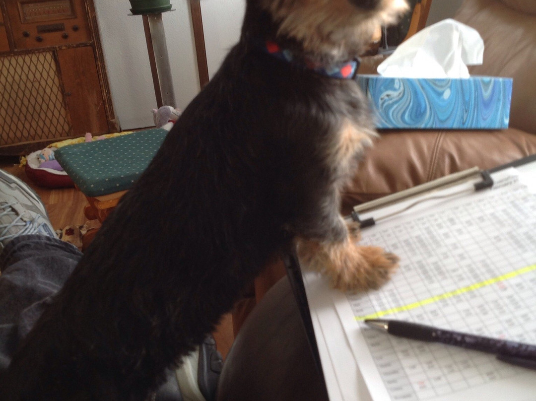 Sleepy Pines Motel主图