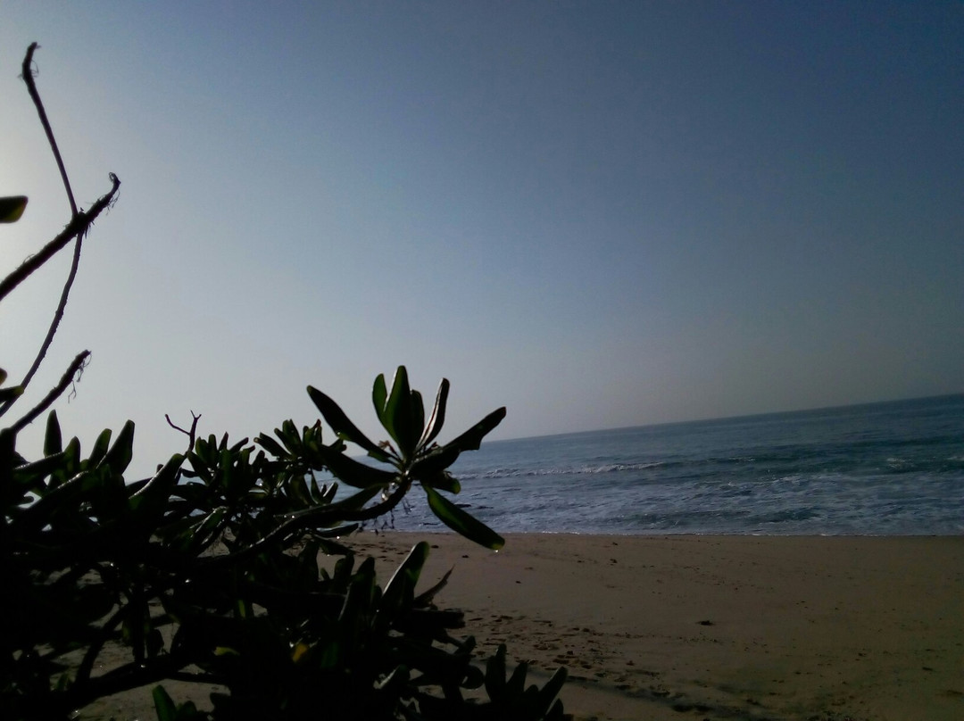 Holiday Driver-科伦坡必去景点