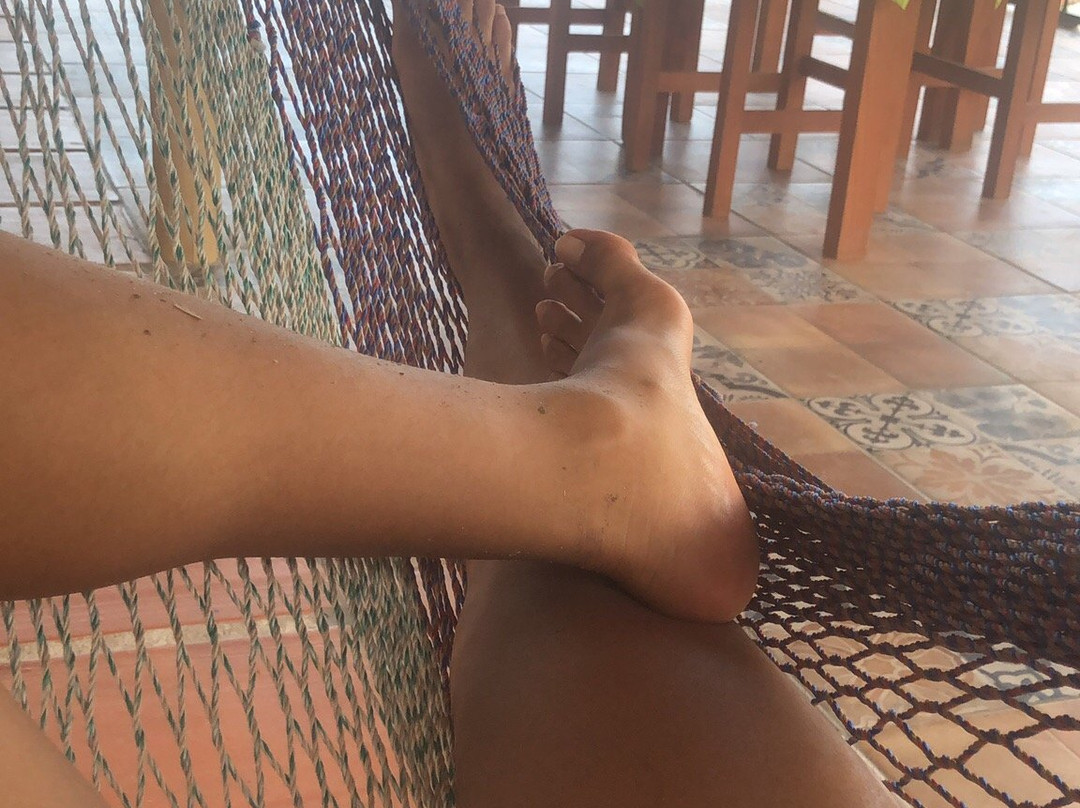 Capital O Posada Jarritos主图