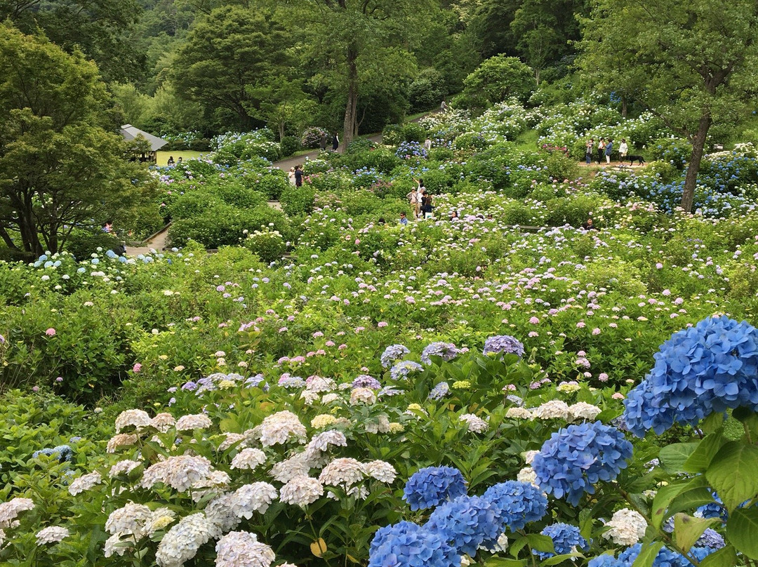 Maizuru Natural Cultural Park景点图片