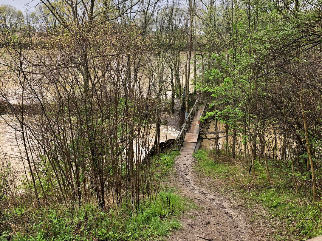 Day Light Falls-Napoleon必去景点