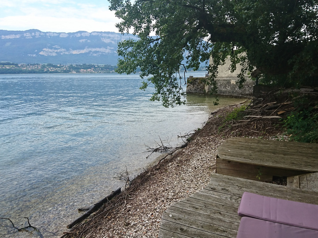 La Turqoise Egarée主图