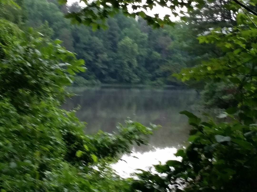 Ivy Creek Natural Area-夏洛茨维尔必去景点