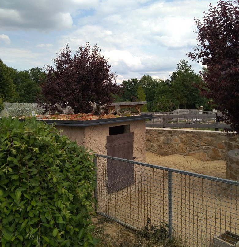 Zoopark Na Hrádečku-英吉夫必去景点