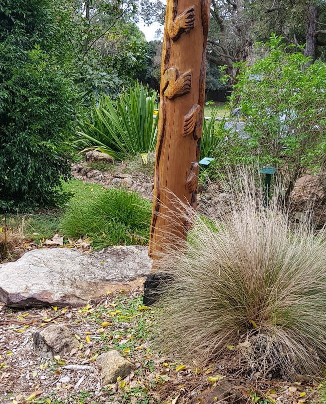 Shoalhaven Heads Native Botanic Garden景点图片