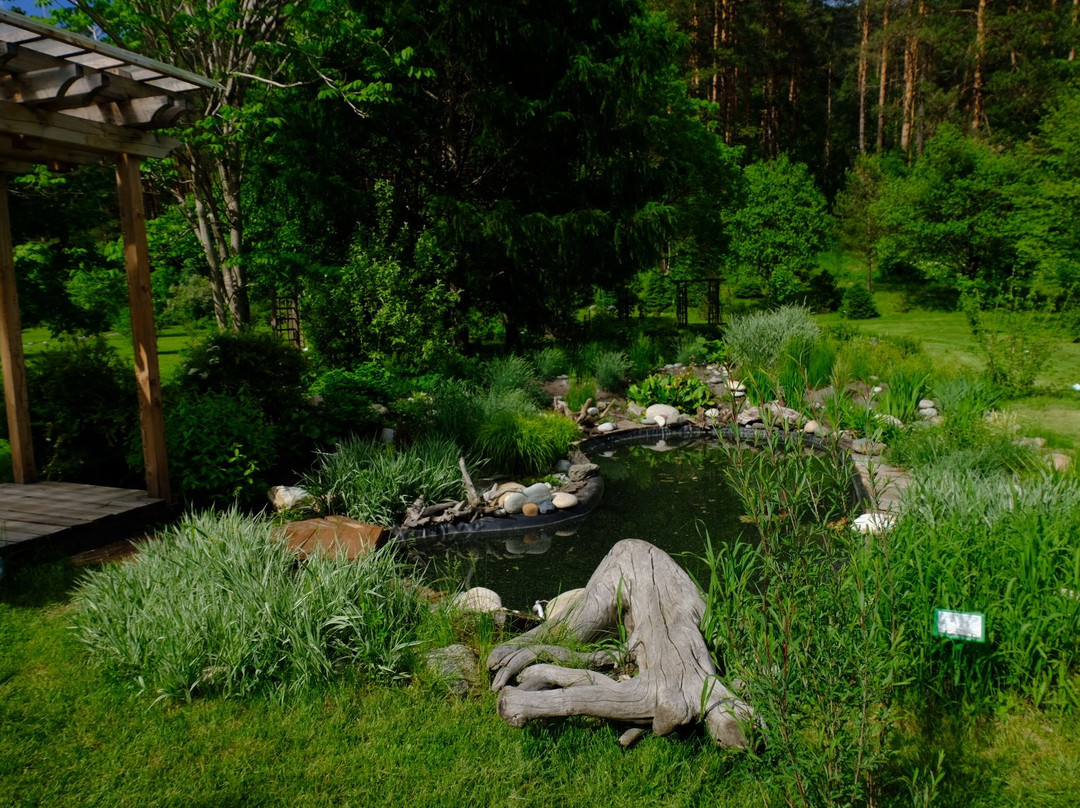Gorno-Altaisk Botanical Garden景点图片