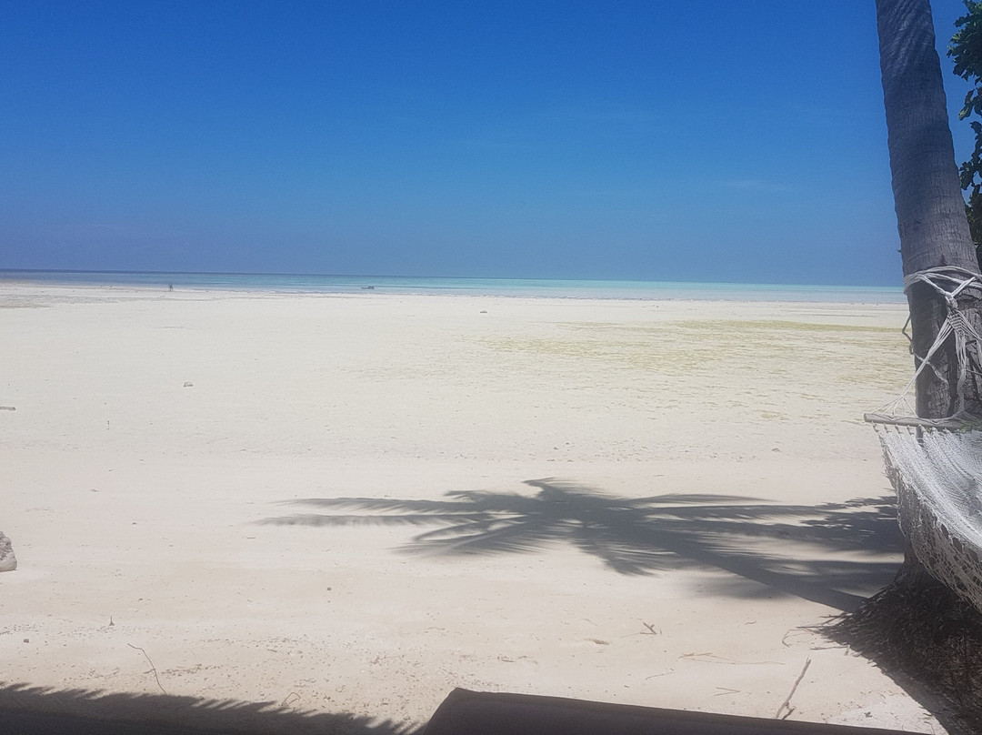 Virgin Cocoa - Tropical Hideaway Island主图