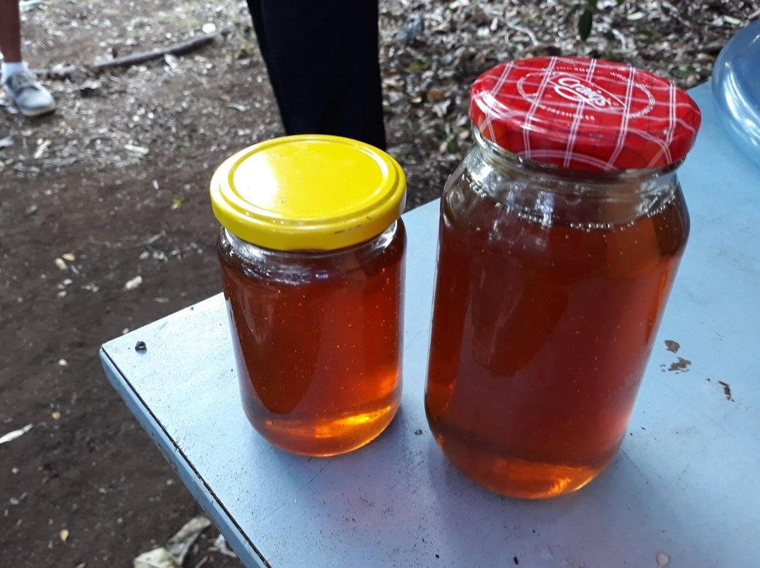 Baunti Tours-诺福克岛必去景点