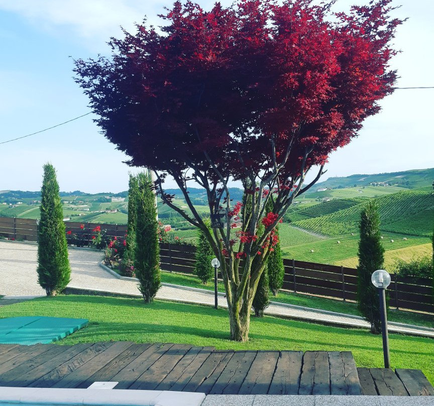 Red Wine Luxury Villa主图