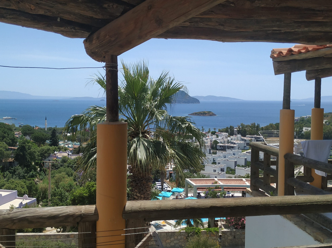 Club Armonia Bodrum Evleri主图