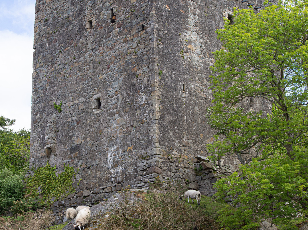 Moy Castle-Craignure必去景点