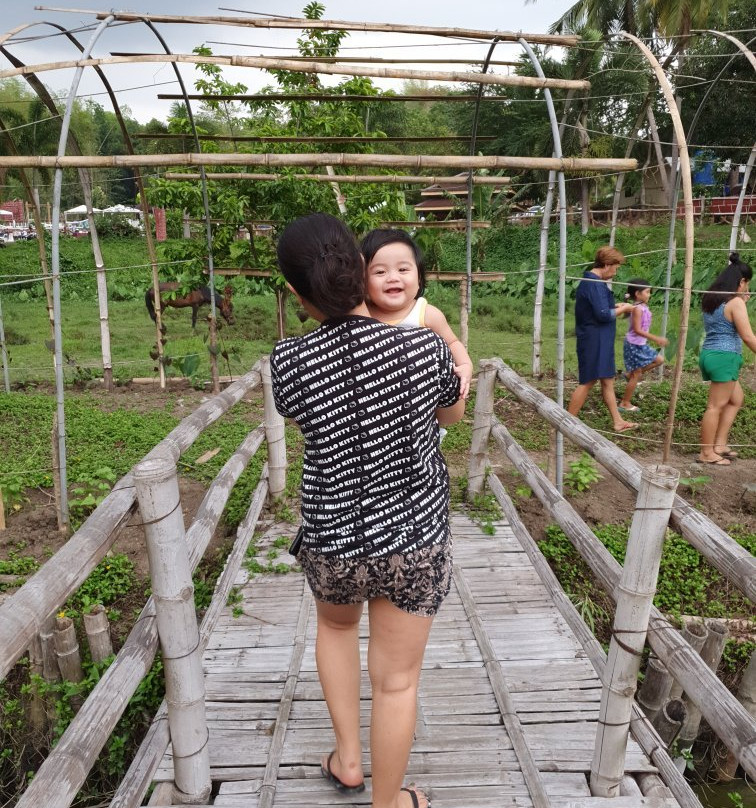 Goducate Training Center-San Miguel必去景点