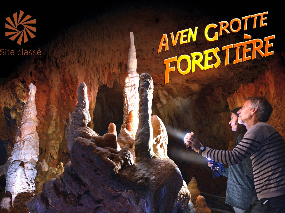 Aven Grotte Forestiere景点图片