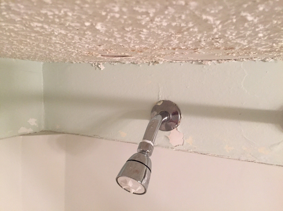 Englewood Beach and Yacht Club主图