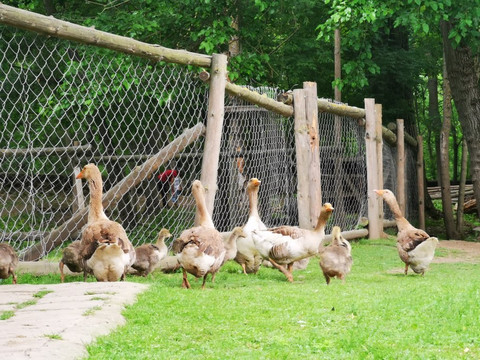 Magic Izvor-瓦尔纳必去景点