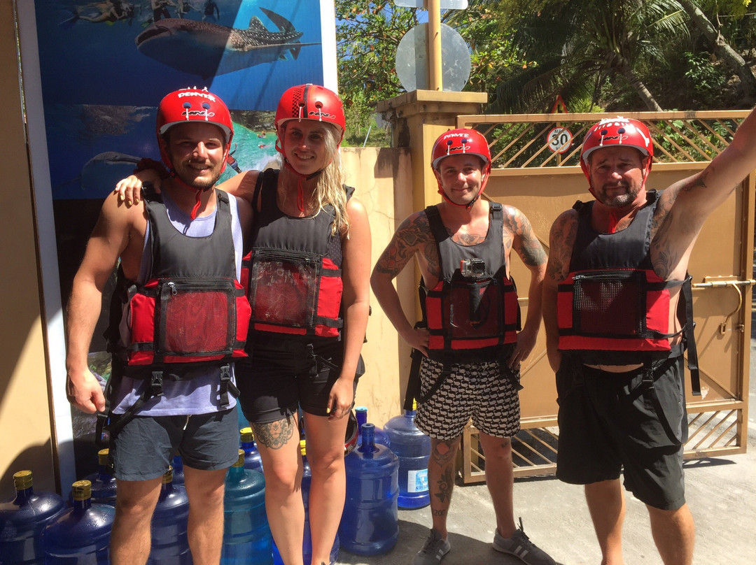 Whale Shark Alona & Oslob-邦劳岛必去景点