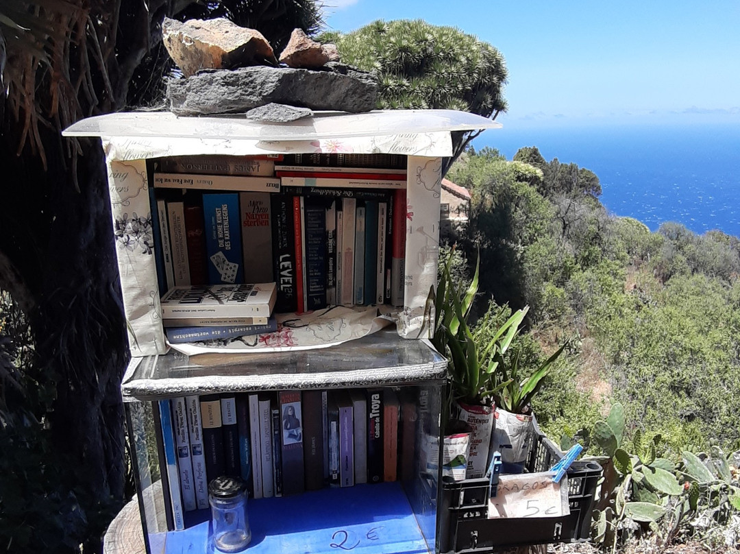 Ruta de los Dragos de Buracas-Las Tricias必去景点