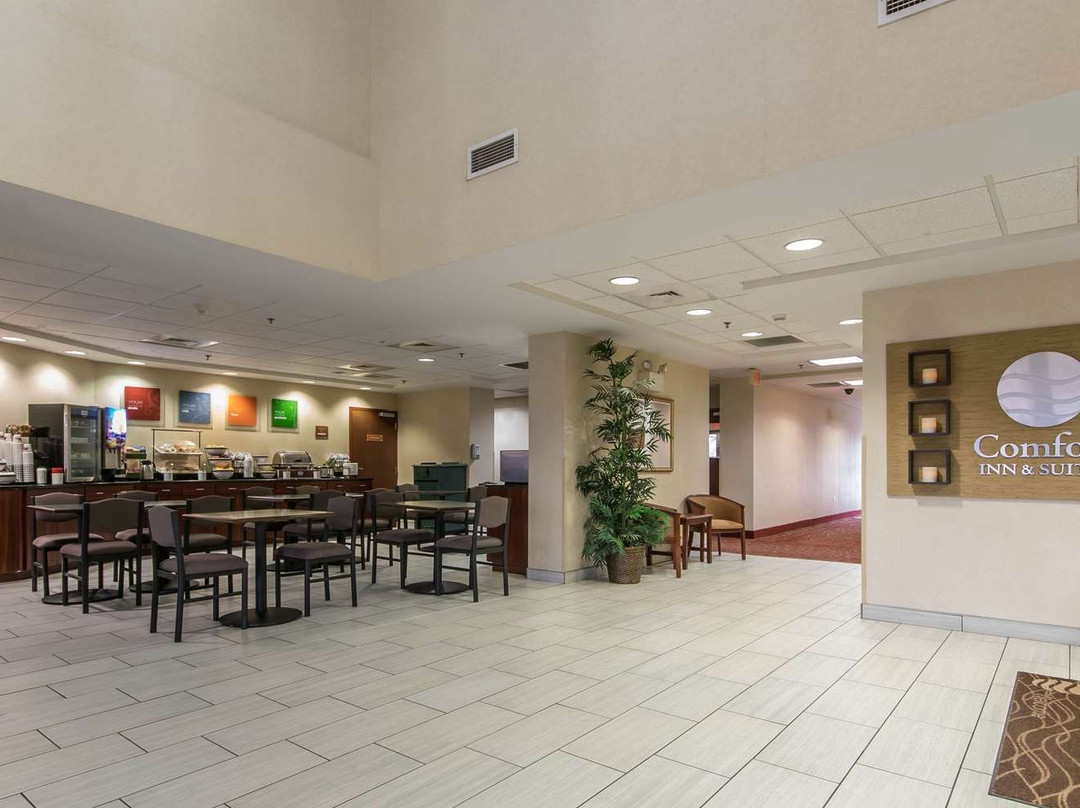 Comfort Inn & Suites主图