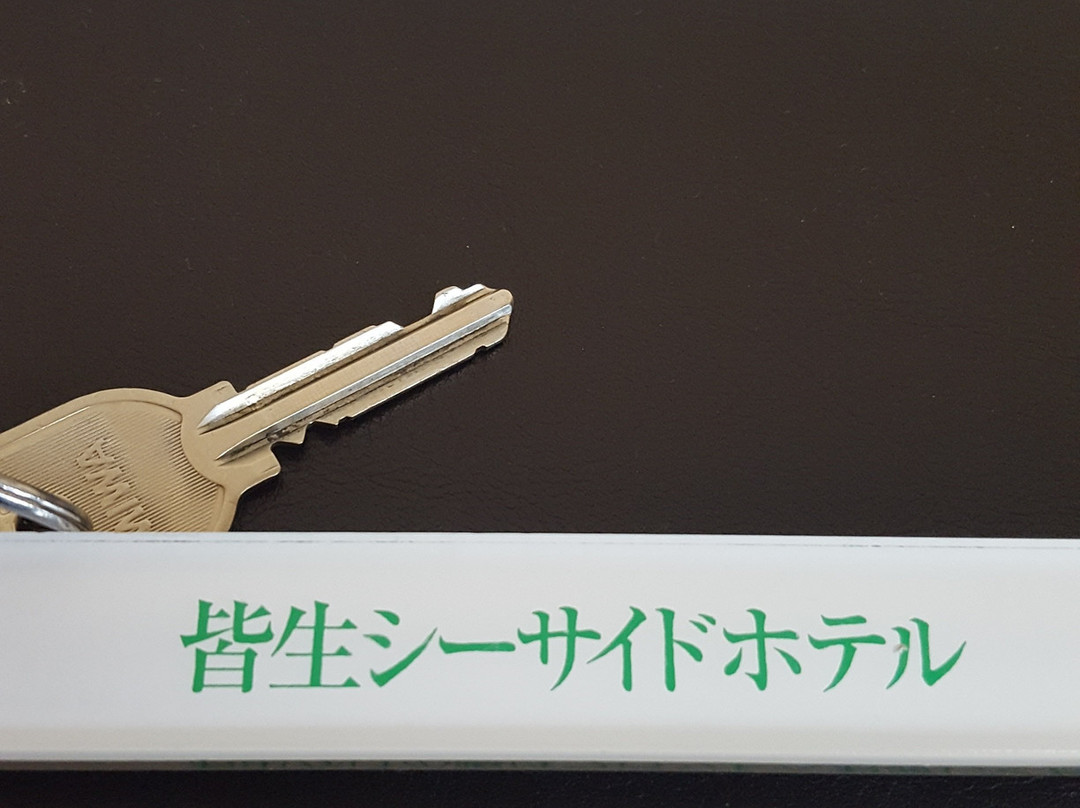 Kaike Seaside Hotel主图