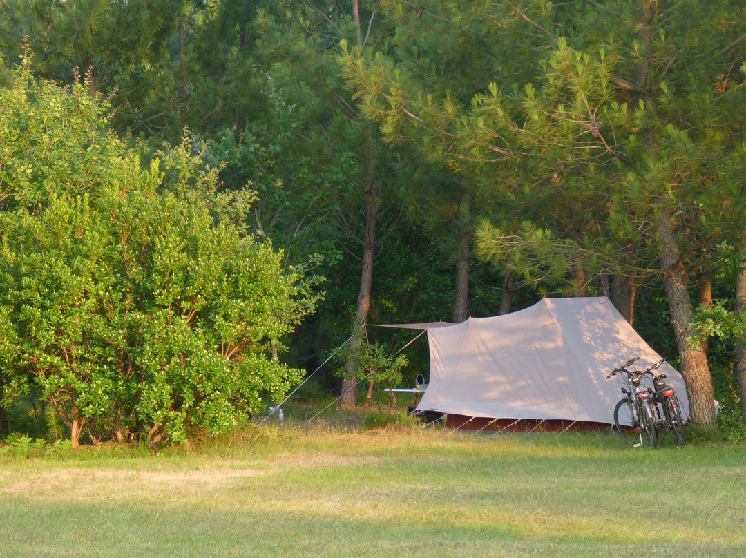 Camping L'Acacia