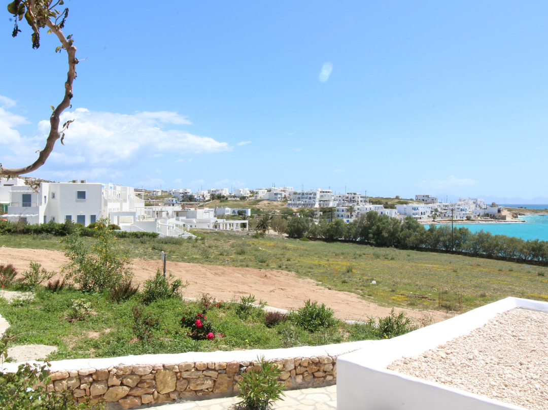 Apollon Koufonisia Studios主图