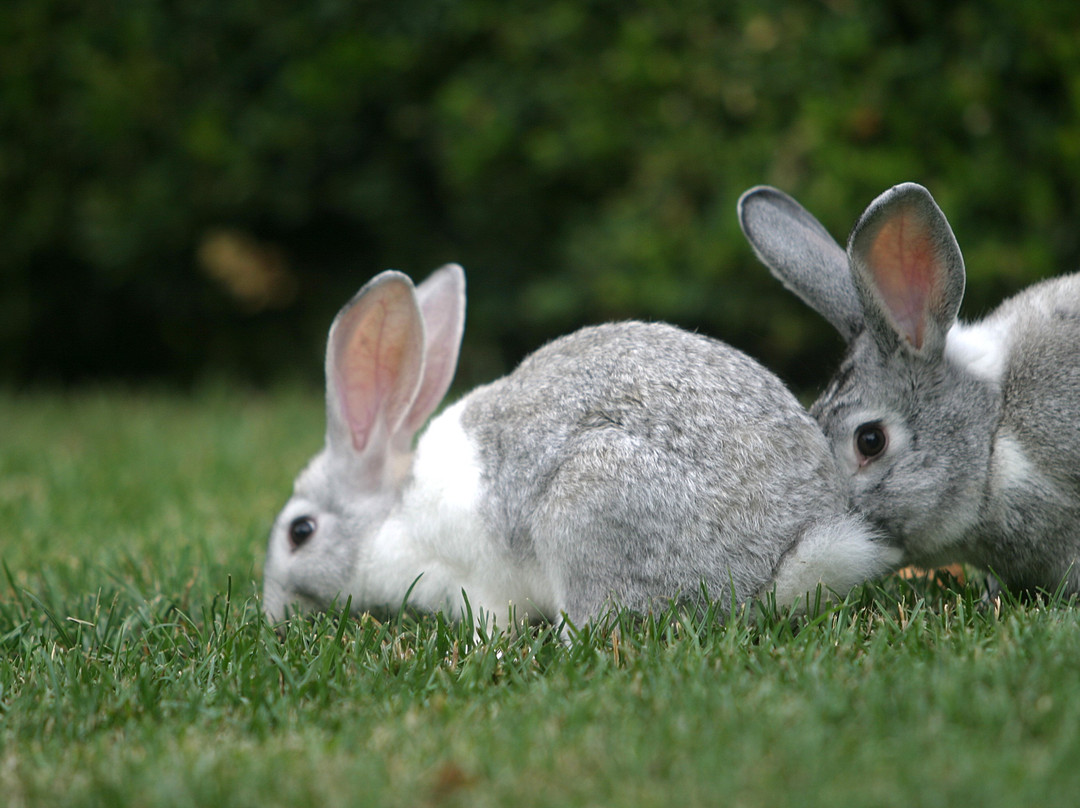 Granja Escuela Xuberoa-Larrayoz必去景点