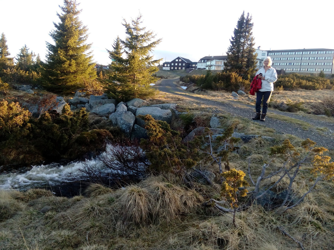 Hornsjø Fjellhotel主图