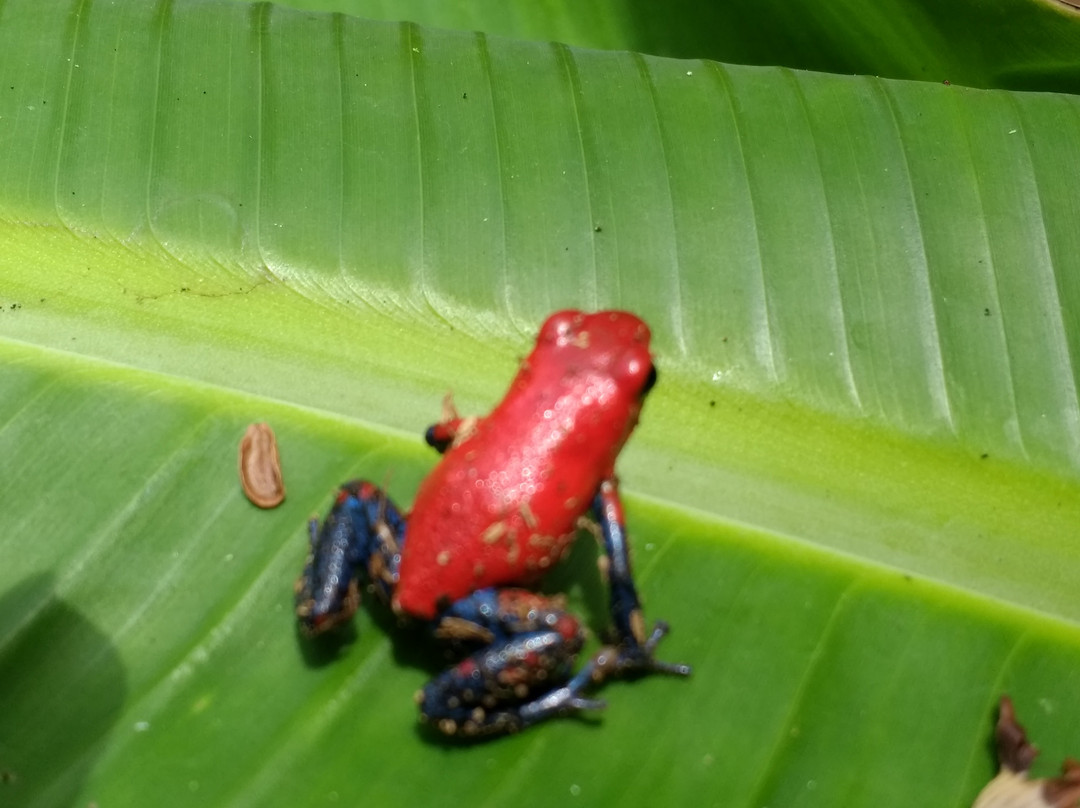 Costa Rica Best Trips景点图片