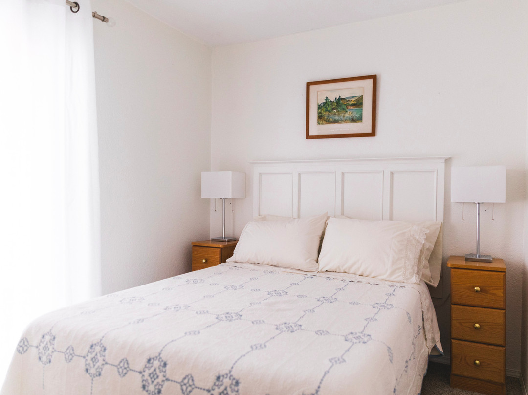 The Village Motel主图