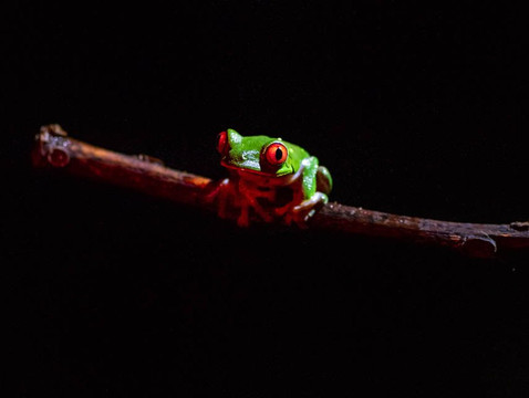 Drake Bay Getaway Resort by Sandglass主图