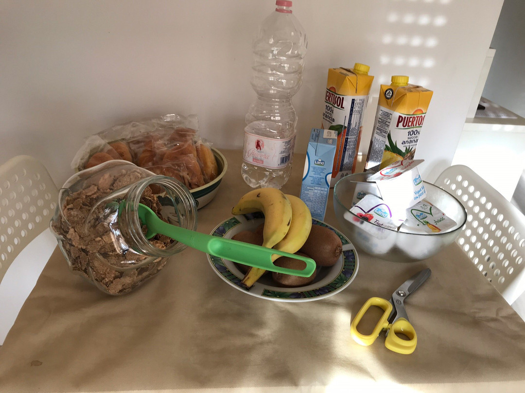 Domus Primavera主图