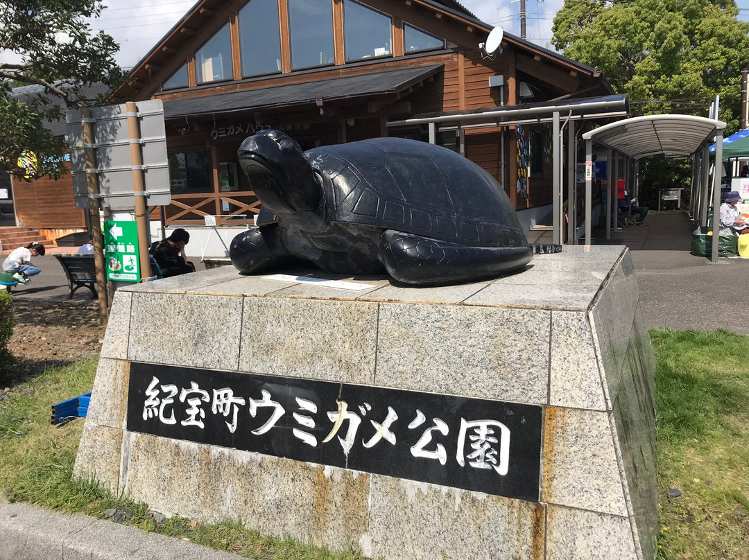 Michi-no-Eki Kihocho Umigame Park景点图片