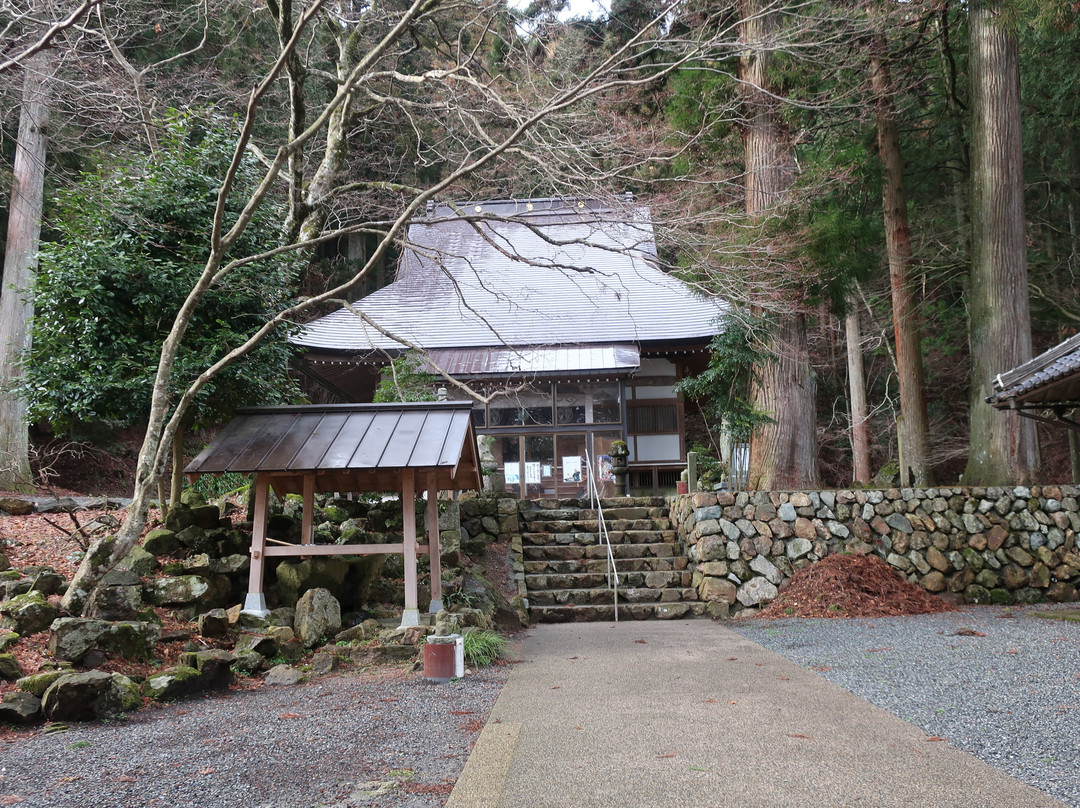 The Ginkgo Tree at Bodaiji Temple-奈义町必去景点