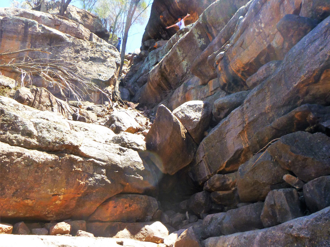 Cocoparra National Park景点图片