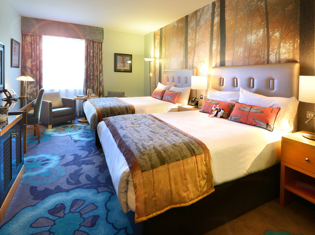 皇冠广场酒店(都柏林)主图