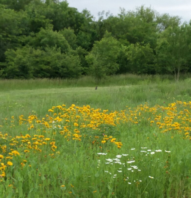 Connemara Conservancy-普莱诺必去景点