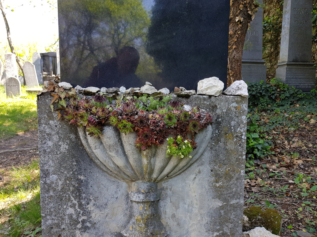 Židovský hřbitov景点图片