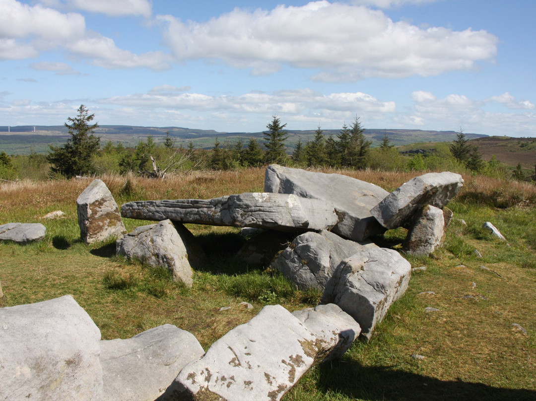 Cavan Burren Park-Cavan必去景点