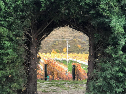 Terra Sancta-Bannockburn必去景点